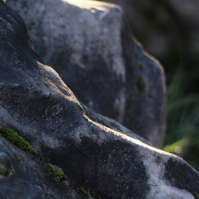 mossy-rock