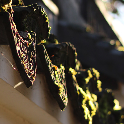 mossy-roof